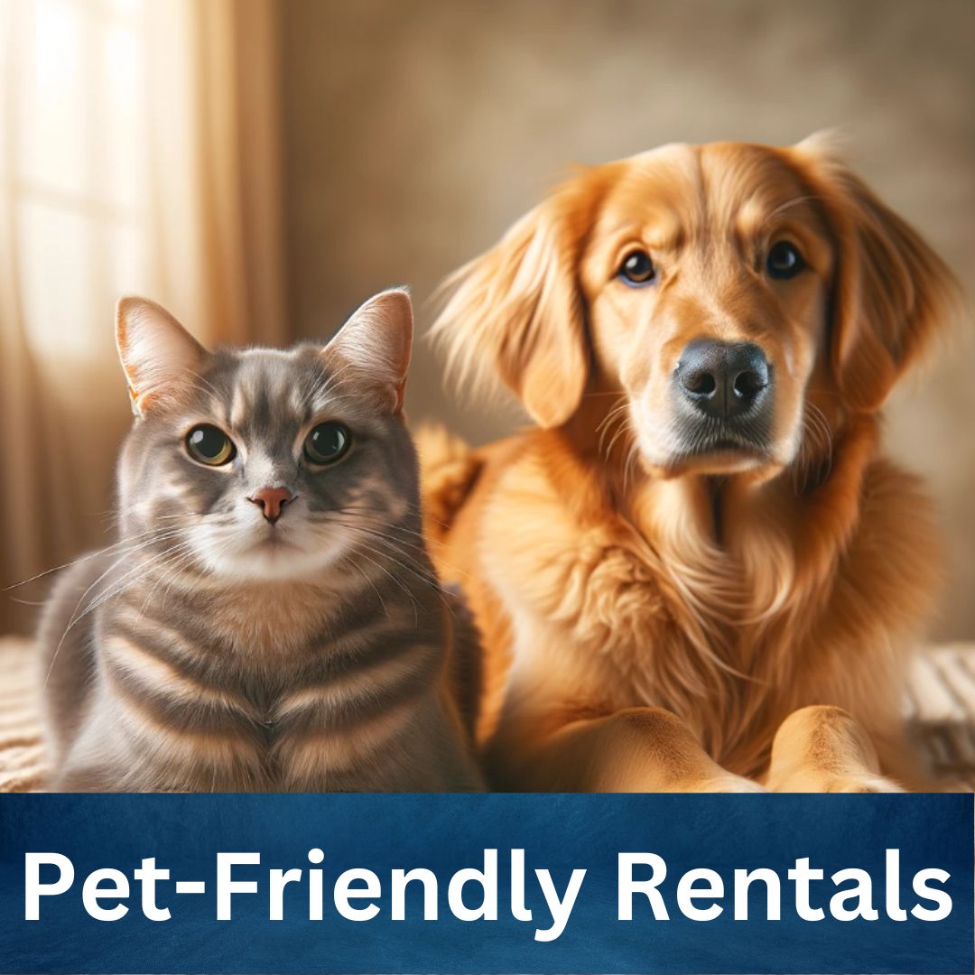 Why Pet-Friendly Housing is Essential and How We Protect Owners